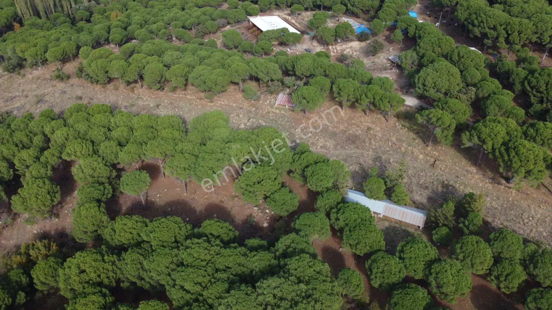 Kozak Karaveliler’de Asfalt Yola Cepheli 12.126 M² Satılık Tarla — fotoğraf 4