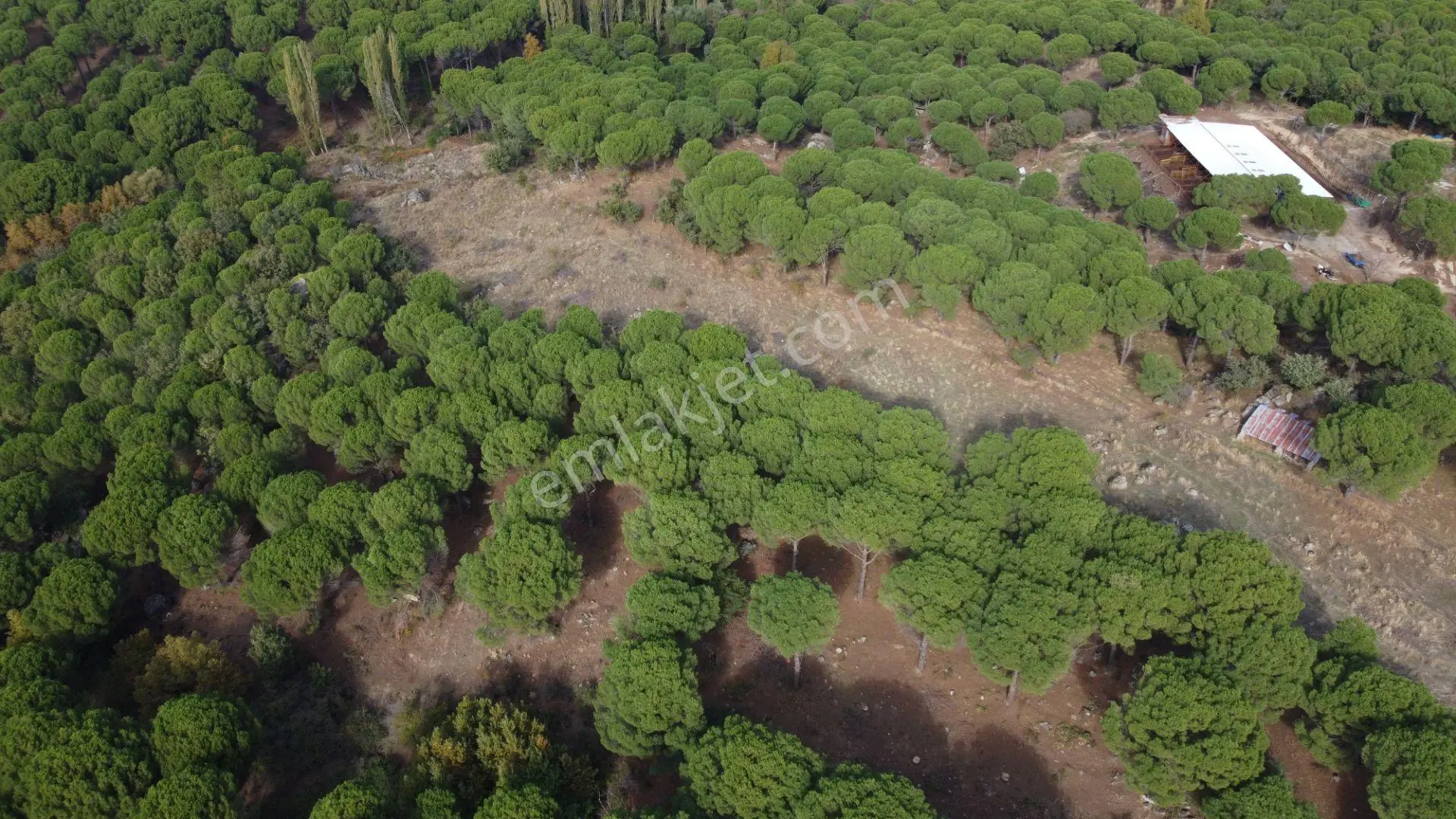 Kozak Karaveliler’de Asfalt Yola Cepheli 12.126 M² Satılık Tarla — fotoğraf 5
