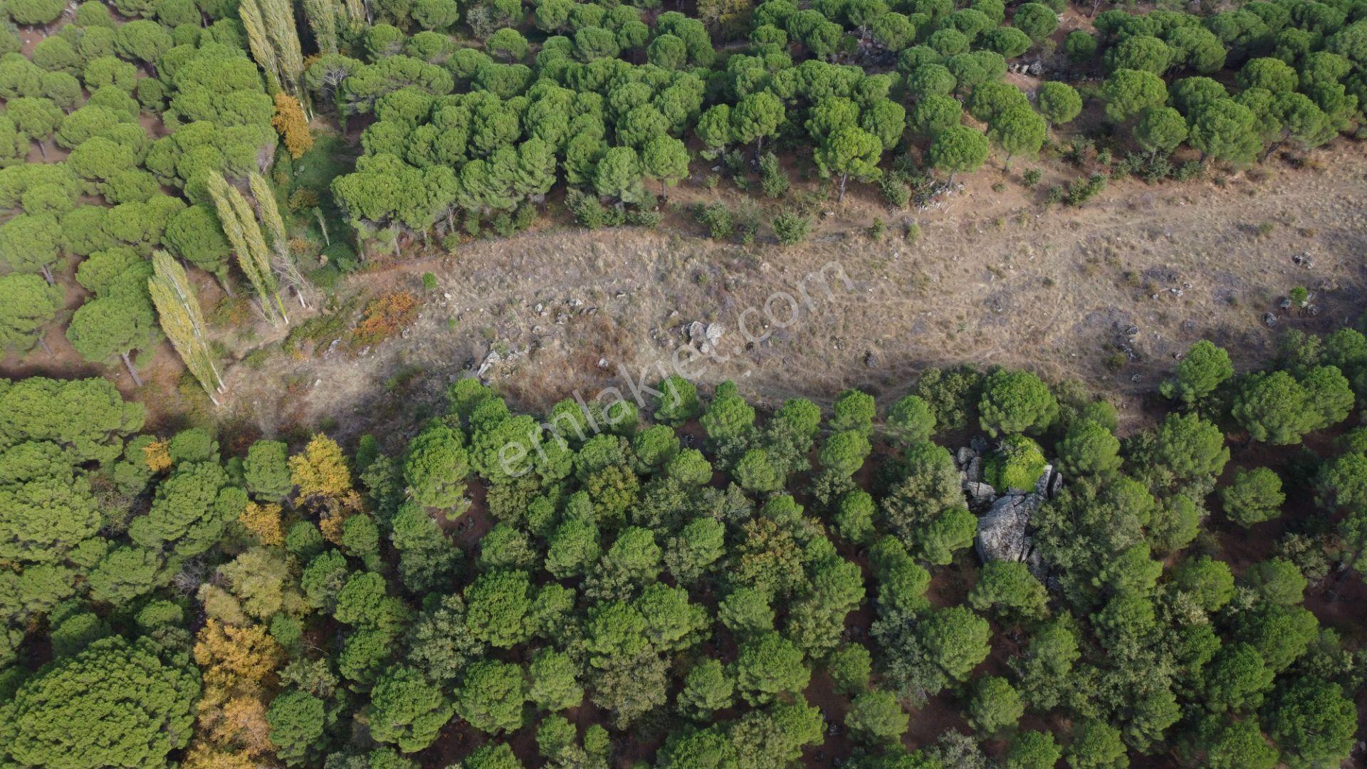 Kozak Karaveliler’de Asfalt Yola Cepheli 12.126 M² Satılık Tarla — fotoğraf 6