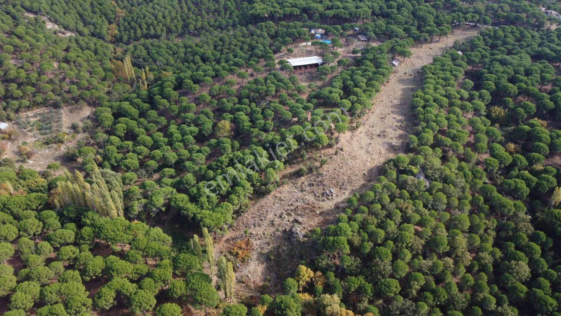 Kozak Karaveliler’de Asfalt Yola Cepheli 12.126 M² Satılık Tarla — fotoğraf 8