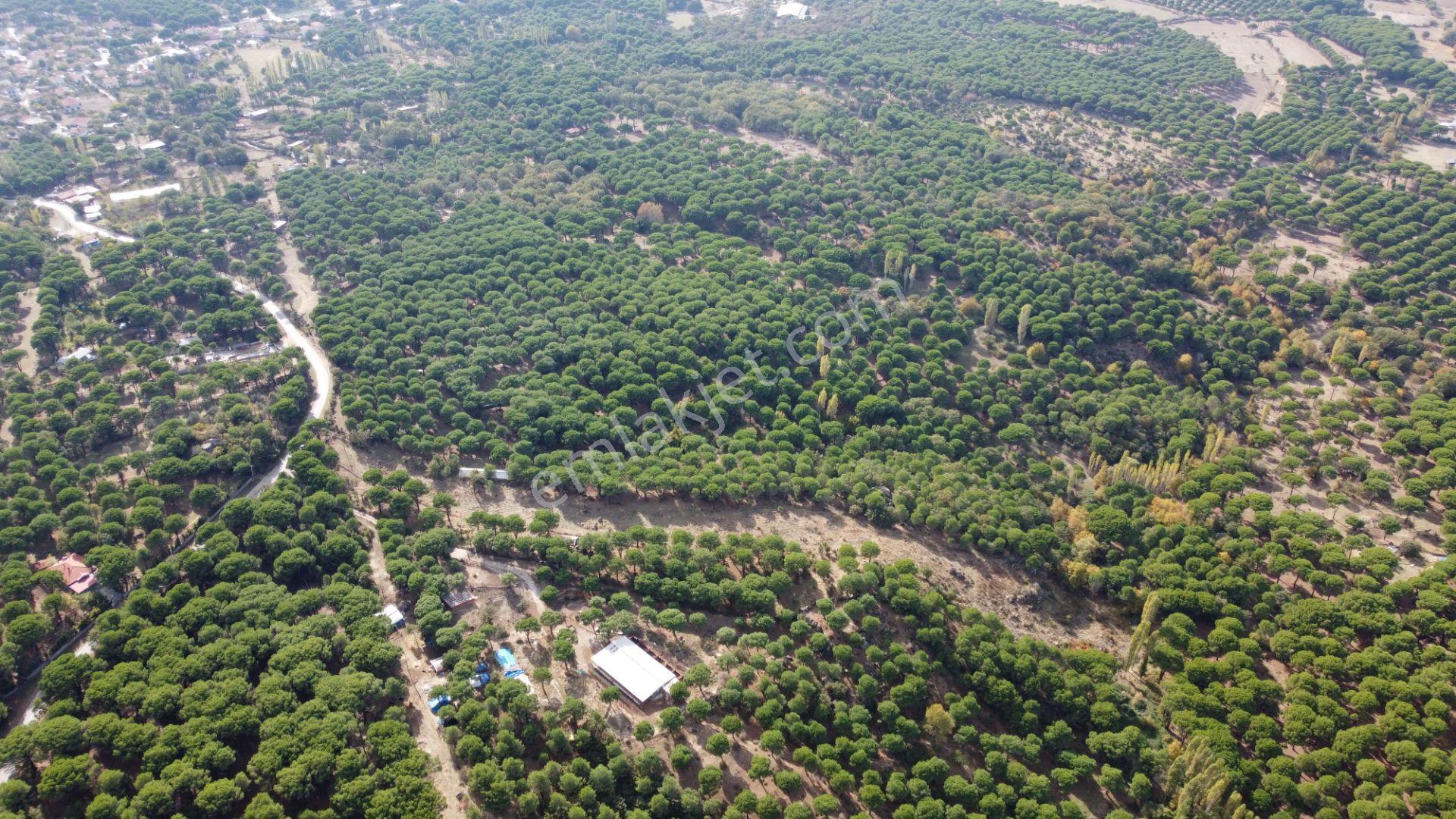 Kozak Karaveliler’de Asfalt Yola Cepheli 12.126 M² Satılık Tarla — fotoğraf 9