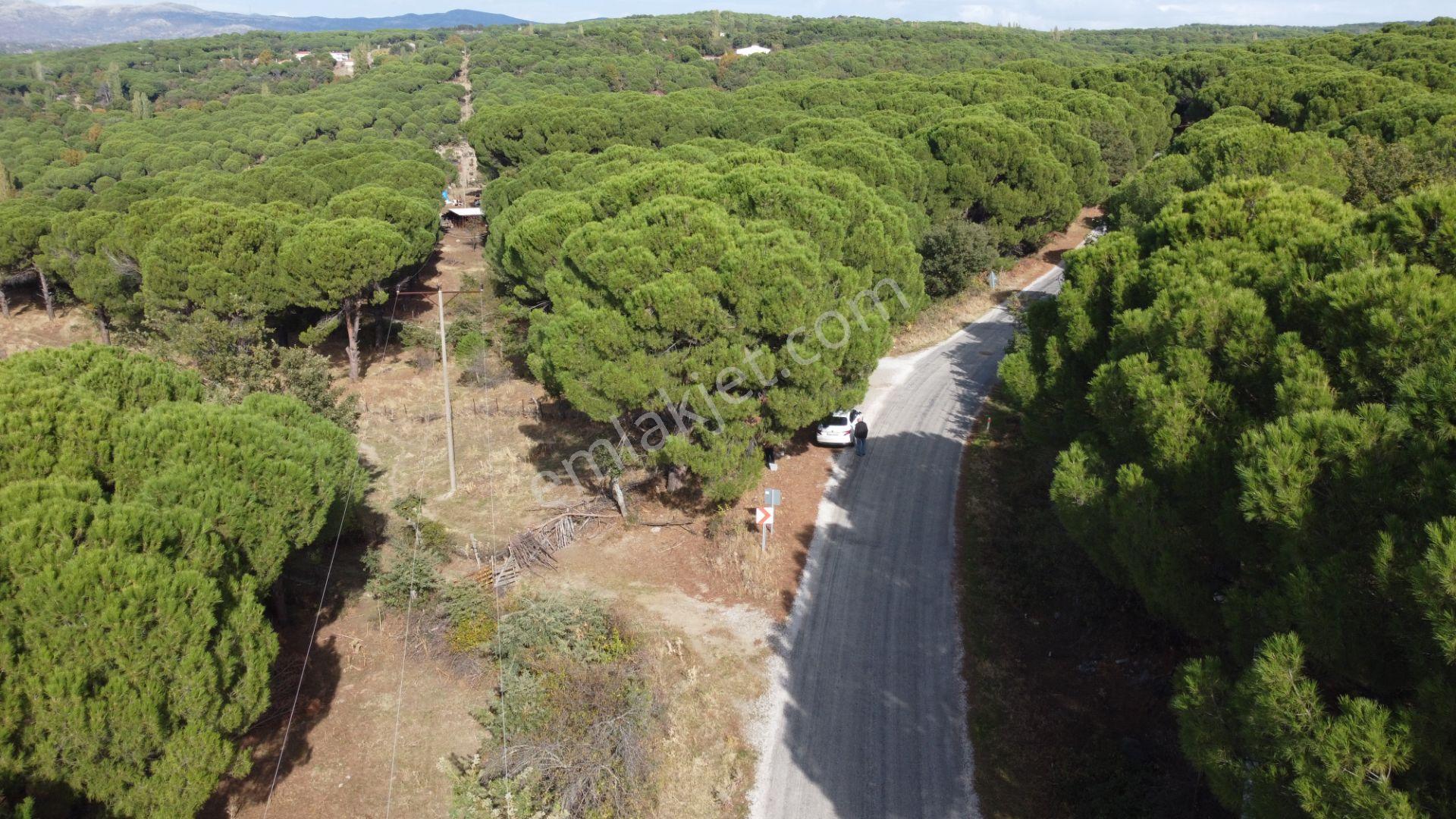 Kozak Karaveliler’de Asfalt Yola Cepheli 12.126 M² Satılık Tarla — fotoğraf 10