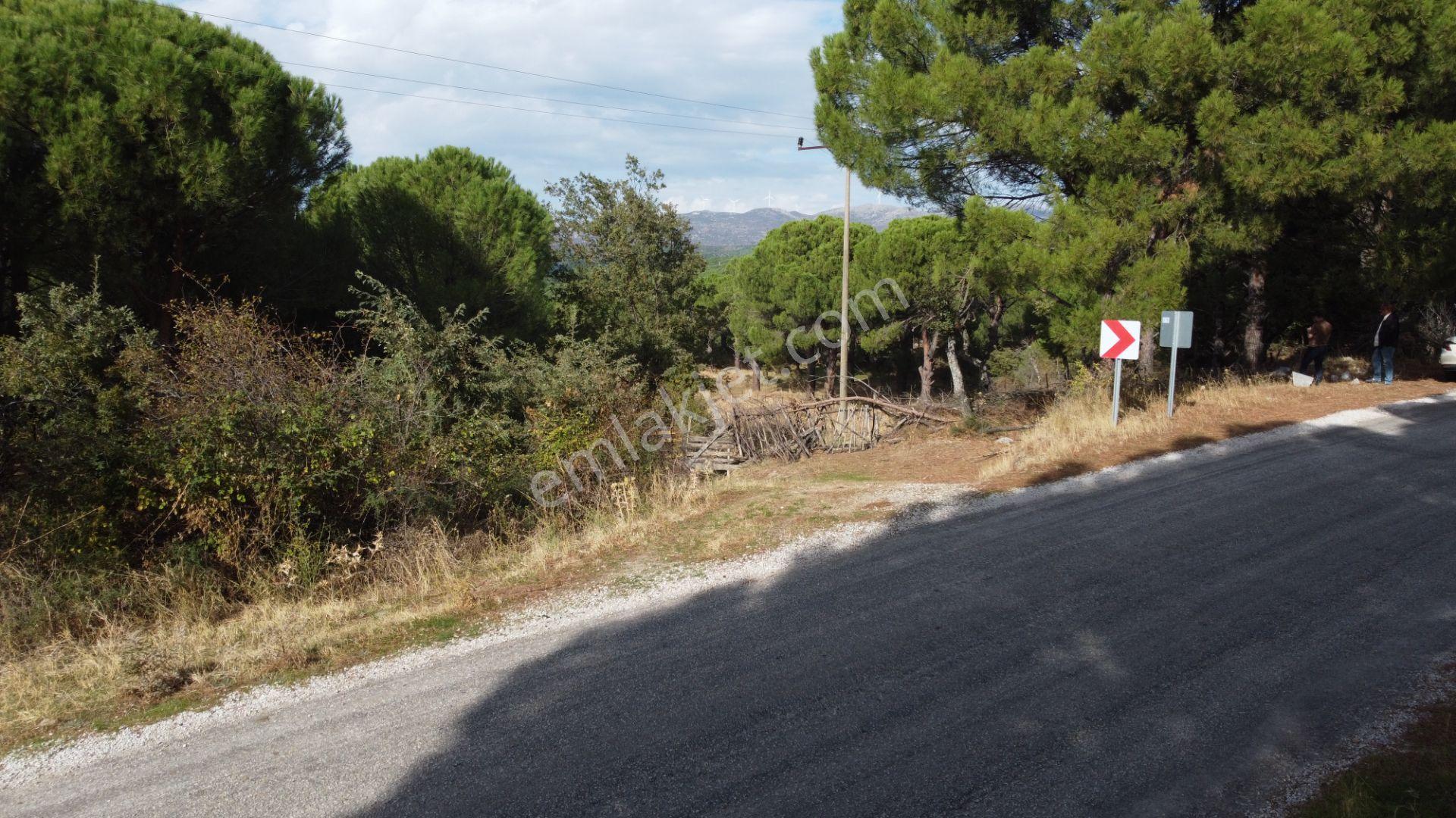 Kozak Karaveliler’de Asfalt Yola Cepheli 12.126 M² Satılık Tarla — fotoğraf 11