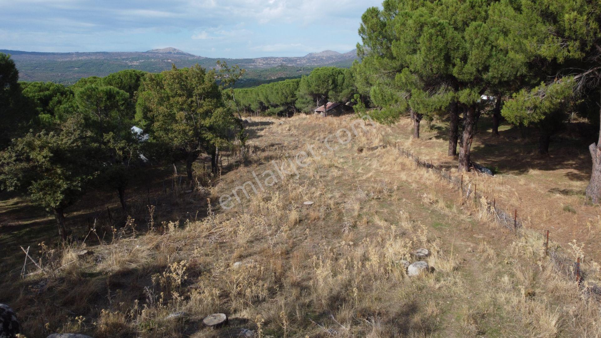 Kozak Karaveliler’de Asfalt Yola Cepheli 12.126 M² Satılık Tarla — fotoğraf 13
