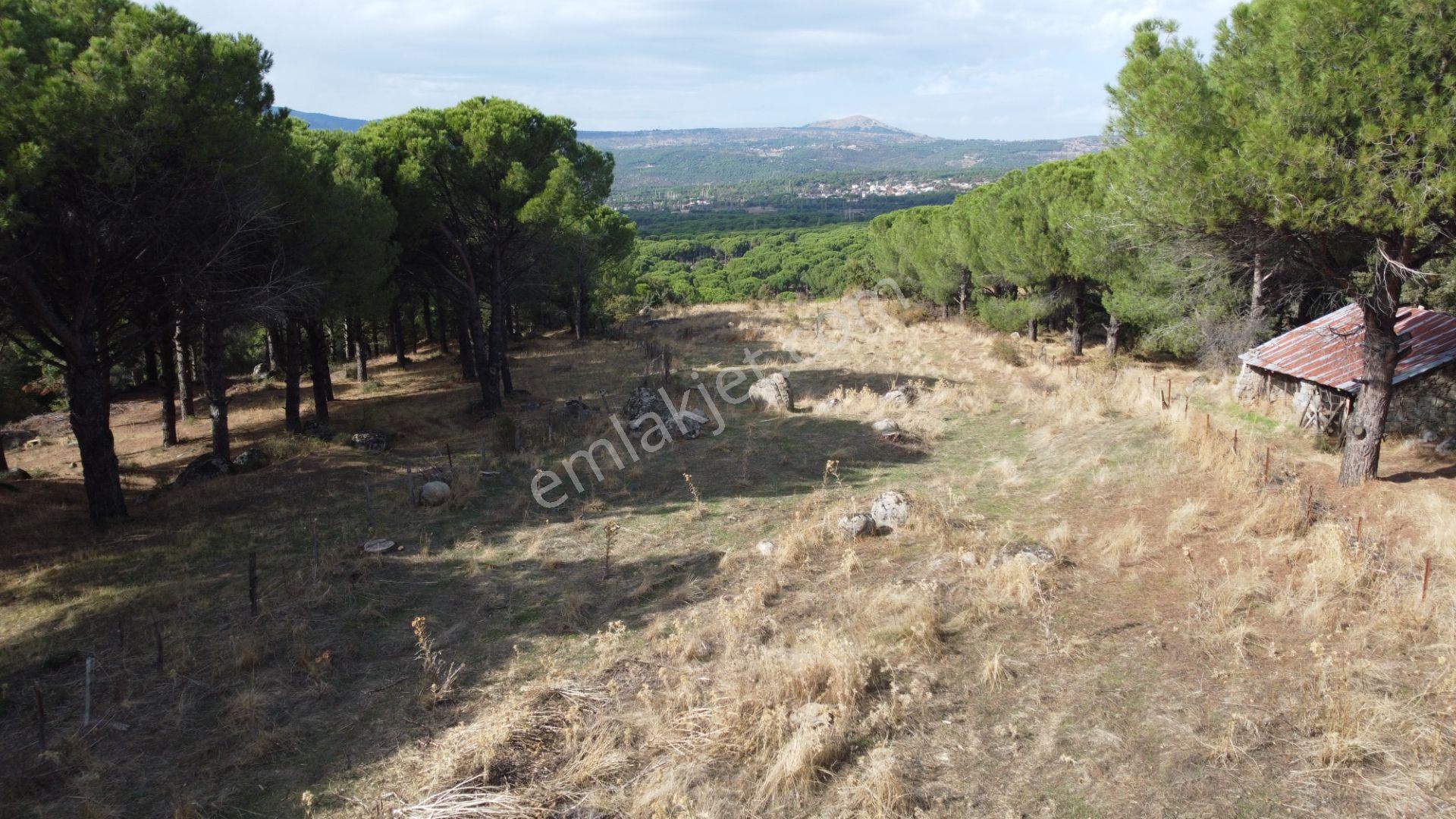 Kozak Karaveliler’de Asfalt Yola Cepheli 12.126 M² Satılık Tarla — fotoğraf 14