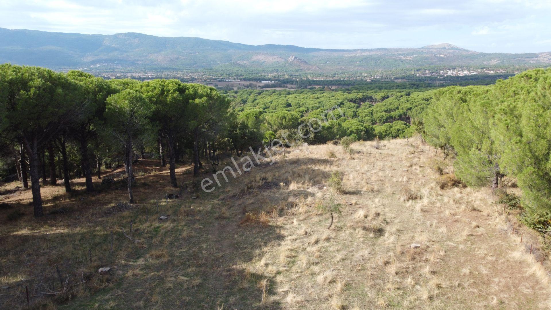 Kozak Karaveliler’de Asfalt Yola Cepheli 12.126 M² Satılık Tarla — fotoğraf 15