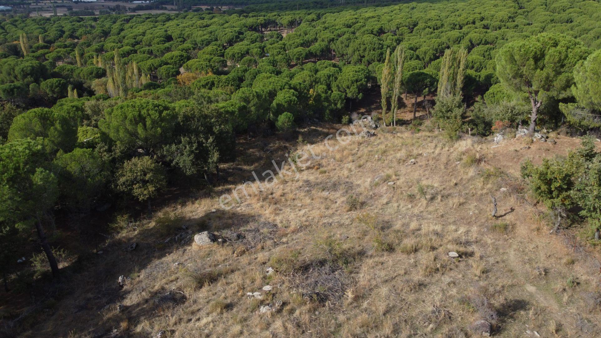 Kozak Karaveliler’de Asfalt Yola Cepheli 12.126 M² Satılık Tarla — fotoğraf 16