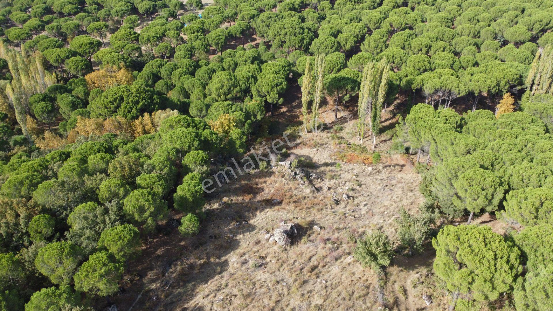 Kozak Karaveliler’de Asfalt Yola Cepheli 12.126 M² Satılık Tarla — fotoğraf 17