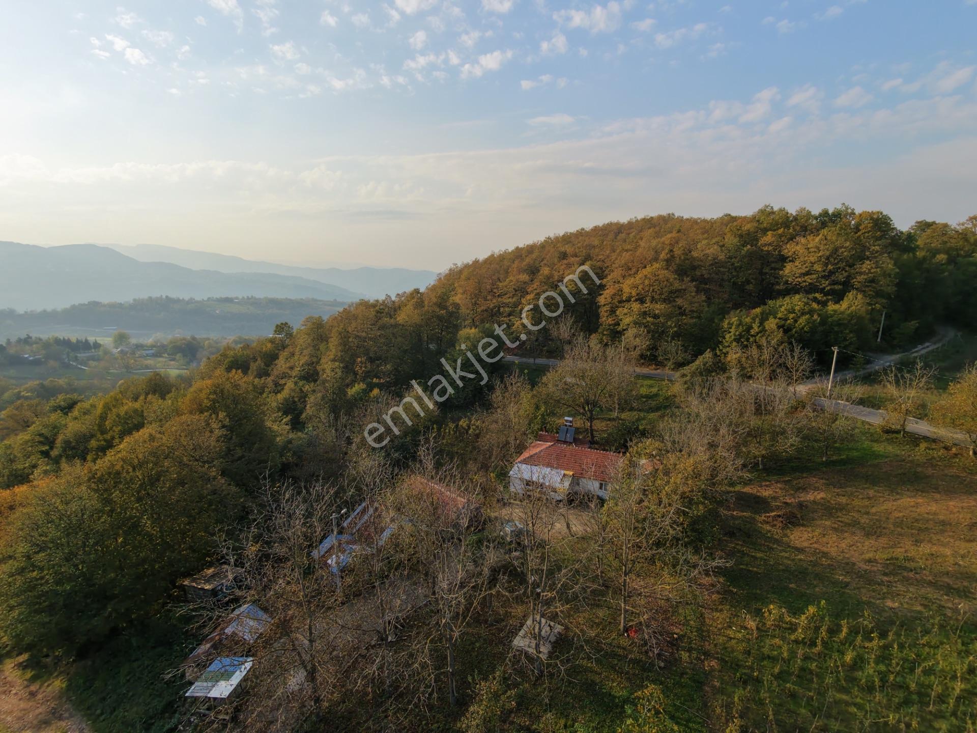 Aydın Emlak’tan Başiskele Tepecik De 1000m2 Satılık Arsa — fotoğraf 9
