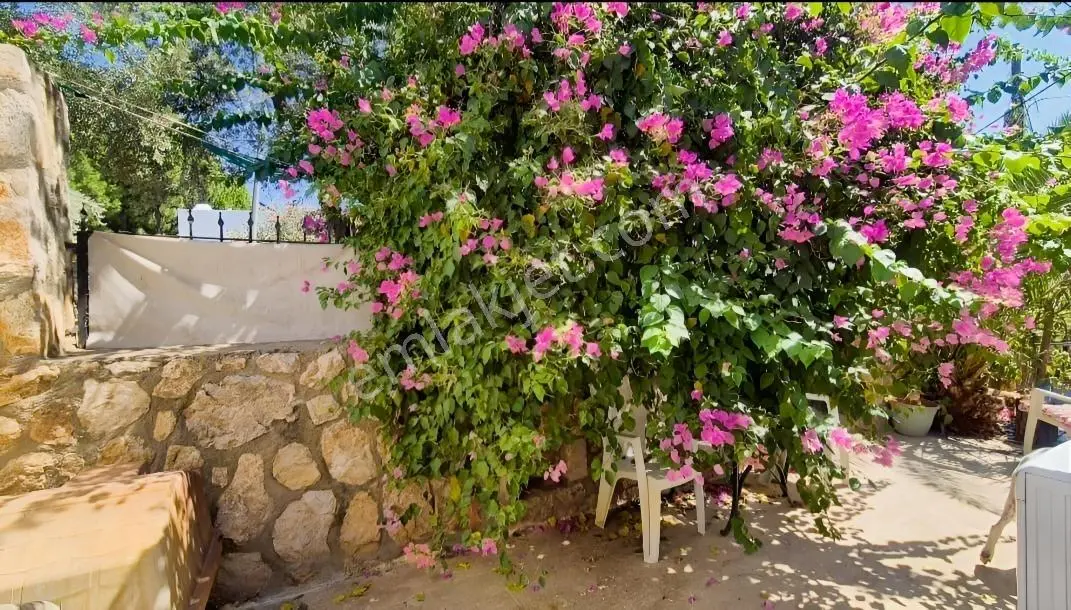 Bodrum Merkezi Lokasyon Müstakil Bahçeli, Müstakil Girişli 2+1 — fotoğraf 2