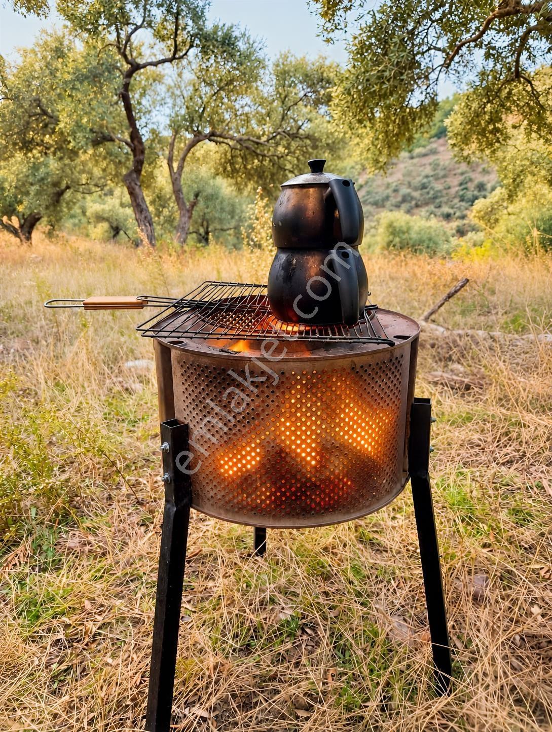 Mugla Milas Bayır Köyünde Satılık Zeytinlik — fotoğraf 12