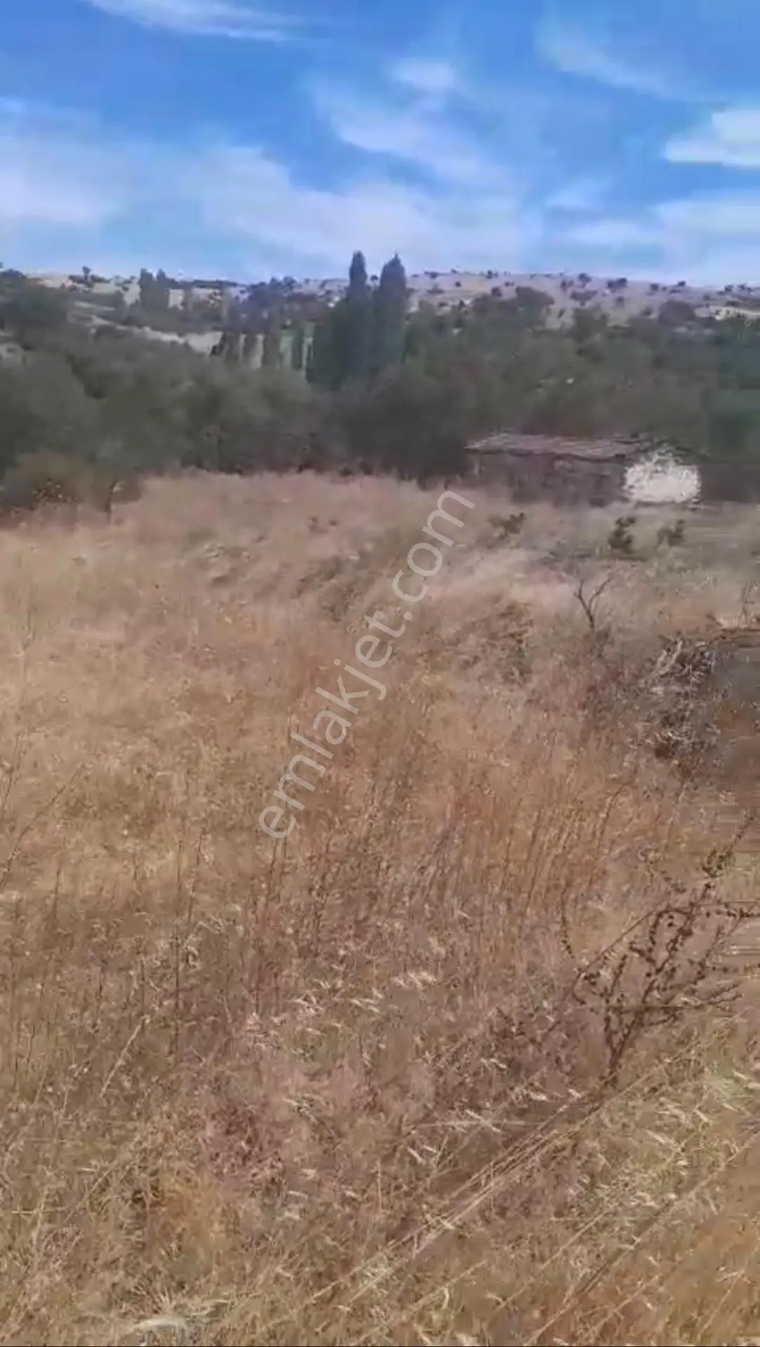 Akhisar Arabacıbozköy'de Asfalt Yol Kenarı 1.260 M² Tek Tapu Fırsat Tarla – 490.000 Tl! — fotoğraf 2