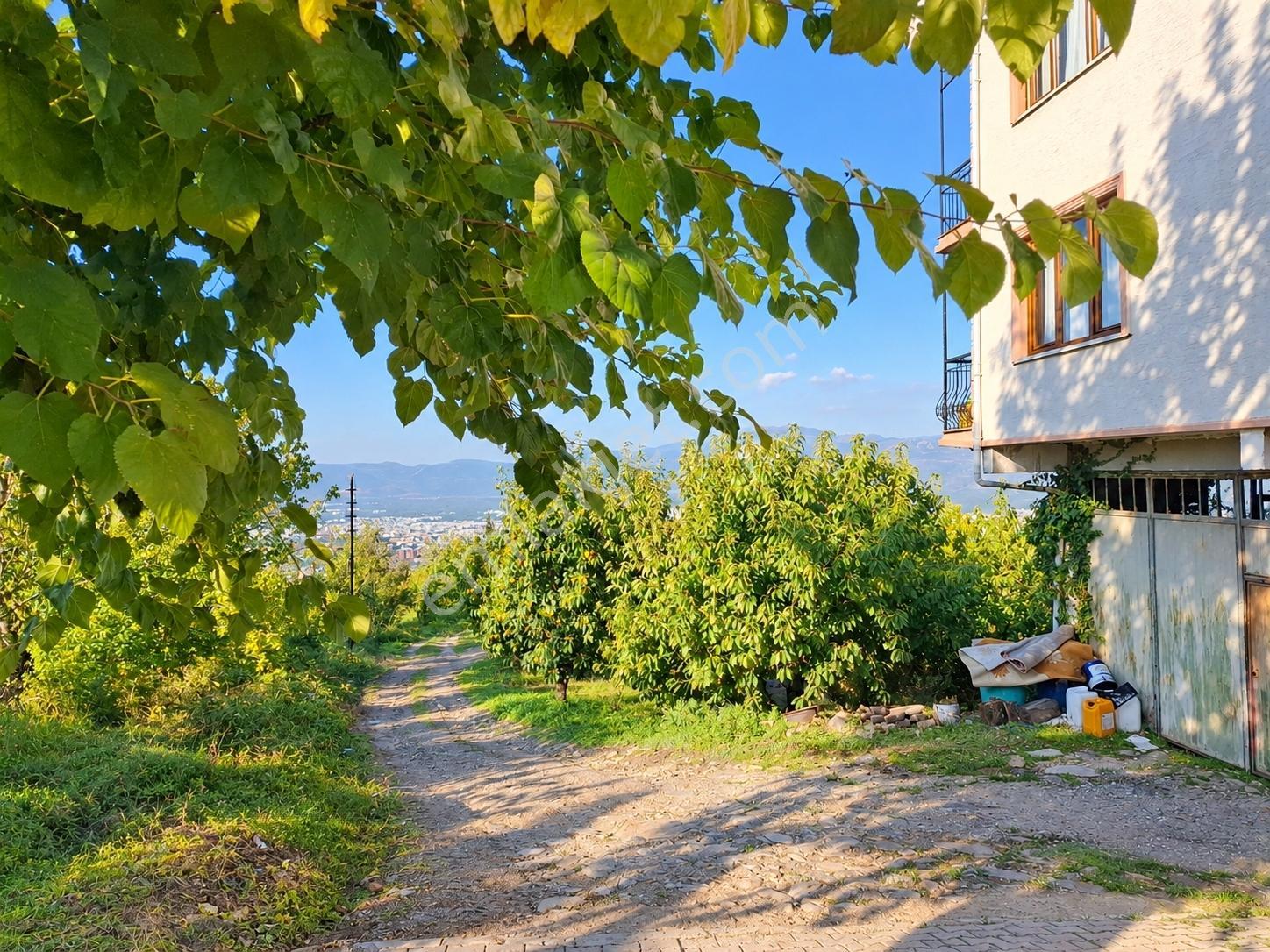 Remax Leon Bursa Hamamlıkızık'da Satılık 2,418 M² Arsa — fotoğraf 6