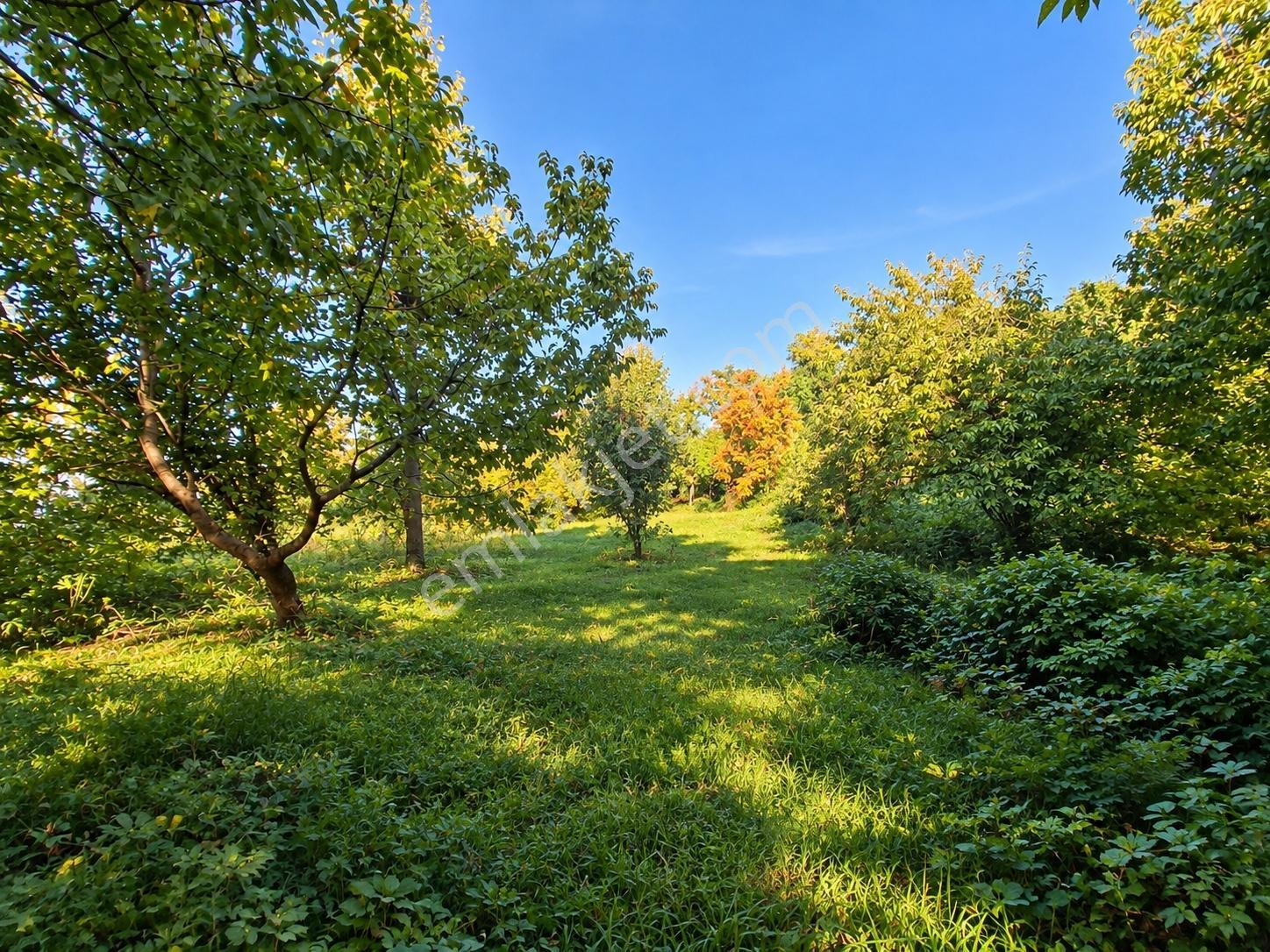 Remax Leon Bursa Hamamlıkızık'da Satılık 2,418 M² Arsa — fotoğraf 7