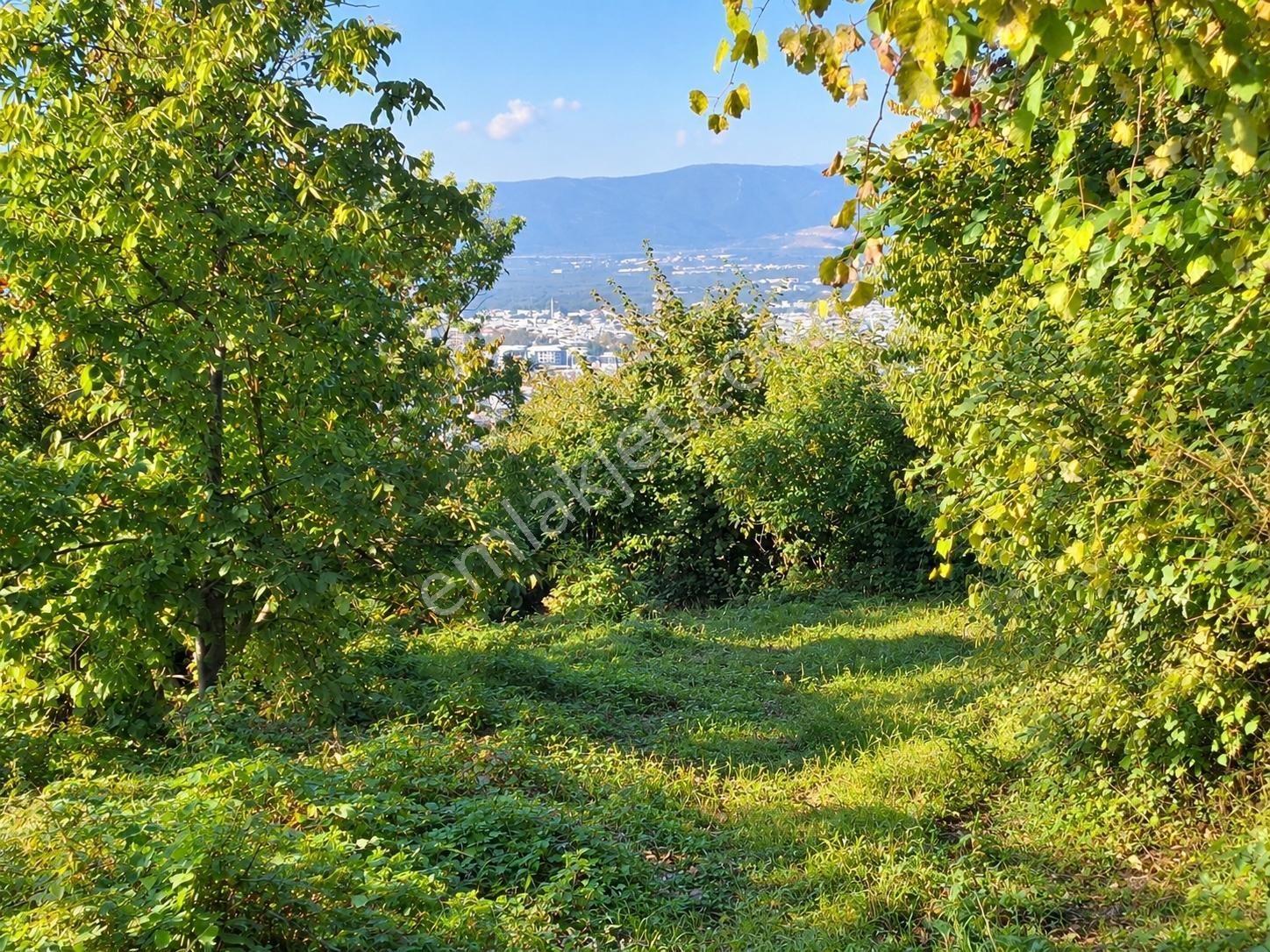 Remax Leon Bursa Hamamlıkızık'da Satılık 2,418 M² Arsa — fotoğraf 8