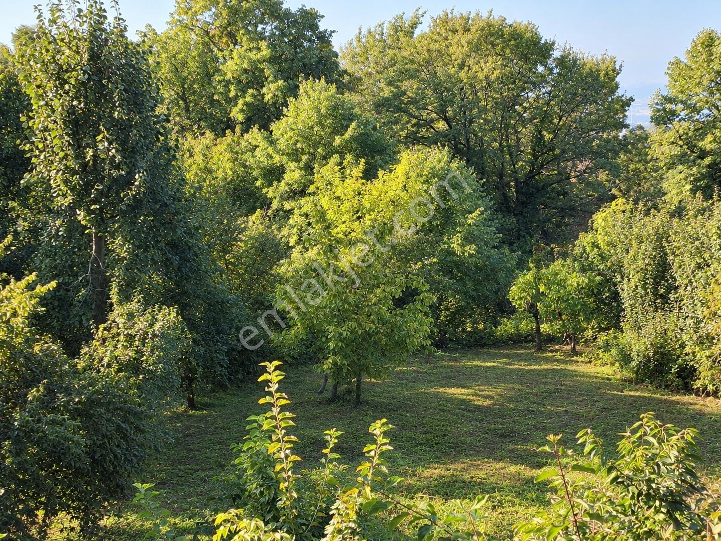 Remax Leon Bursa Hamamlıkızık'da Satılık 2,418 M² Arsa — fotoğraf 10