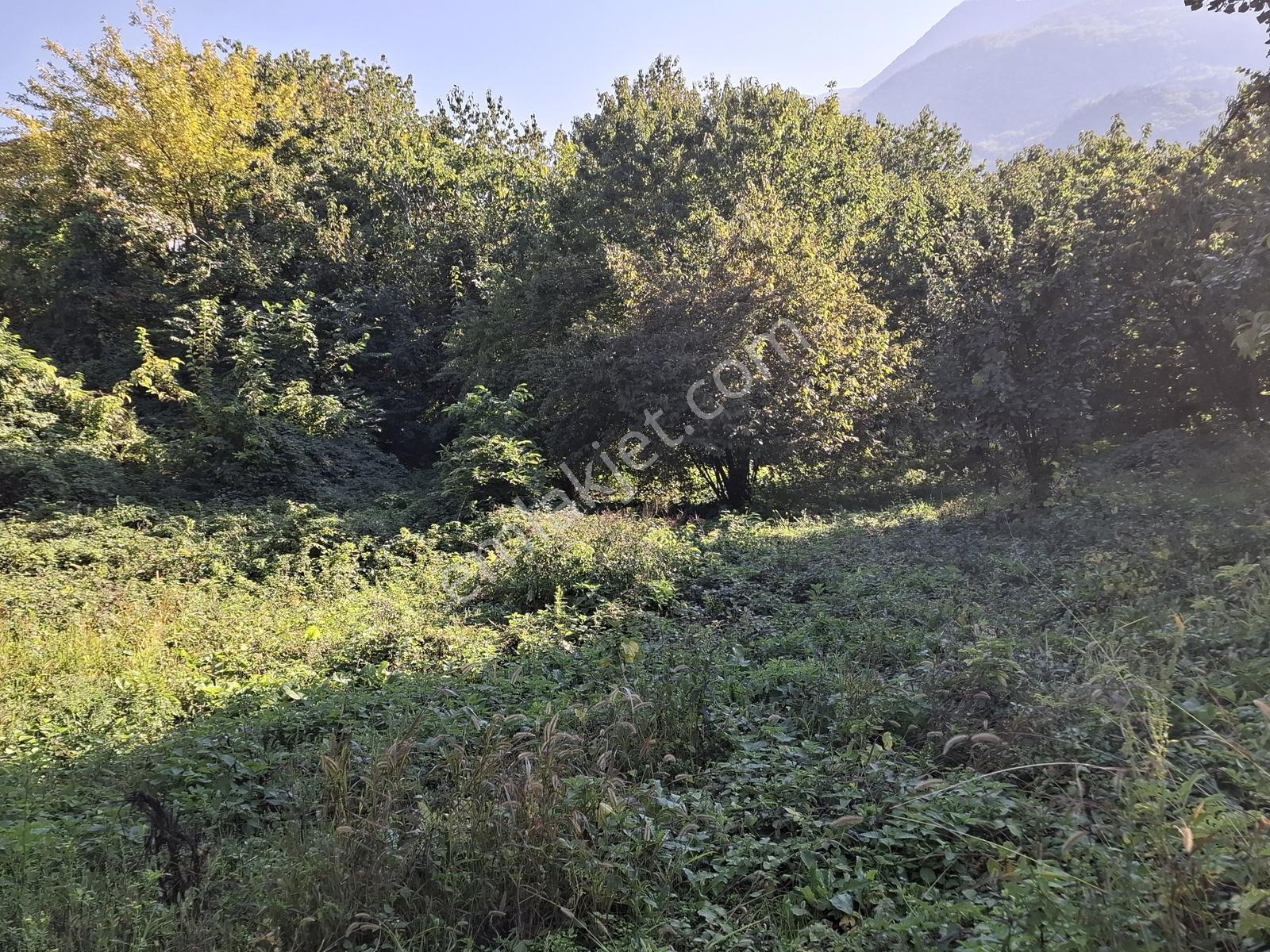 Remax Leon Bursa Hamamlıkızık'da Satılık 2,418 M² Arsa — fotoğraf 13