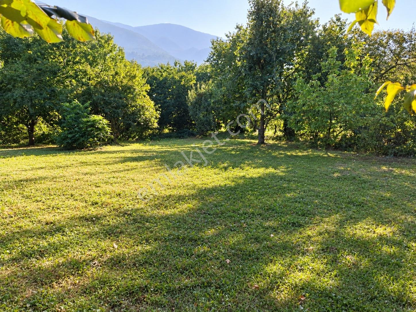 Remax Leon Bursa Hamamlıkızık'da Satılık 2,418 M² Arsa — fotoğraf 14