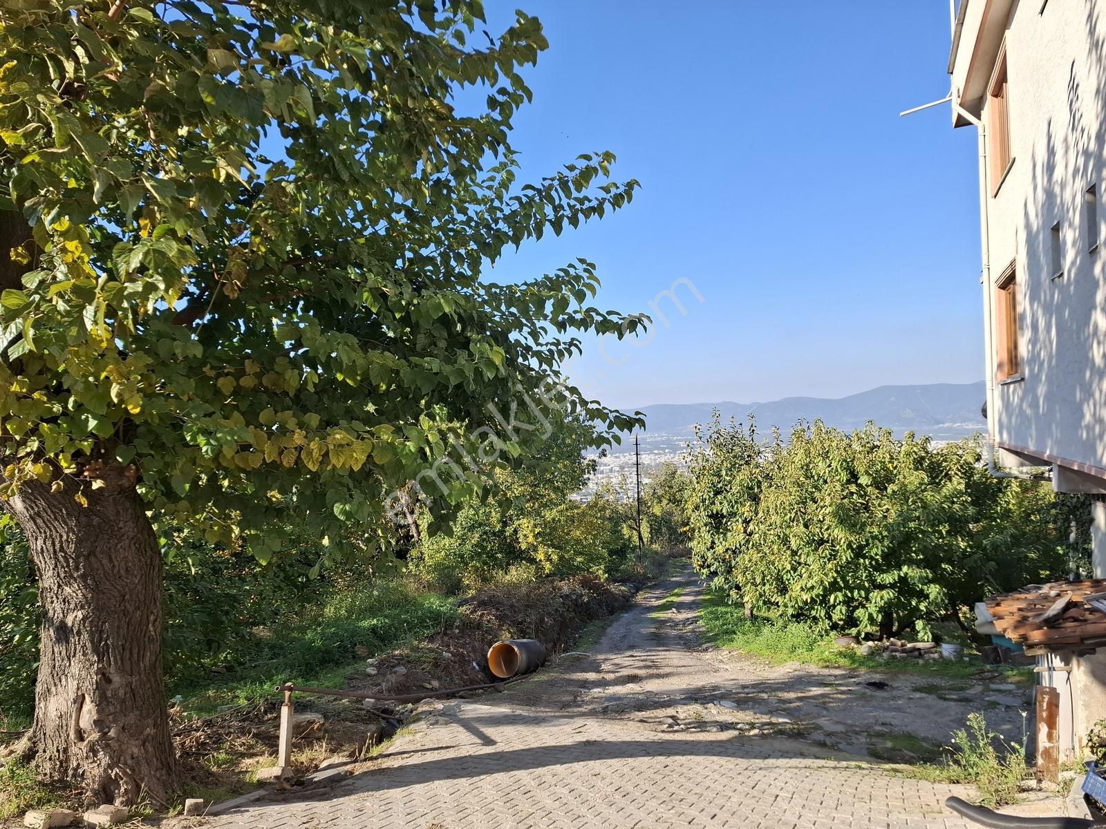 Remax Leon Bursa Hamamlıkızık'da Satılık 2,418 M² Arsa — fotoğraf 16