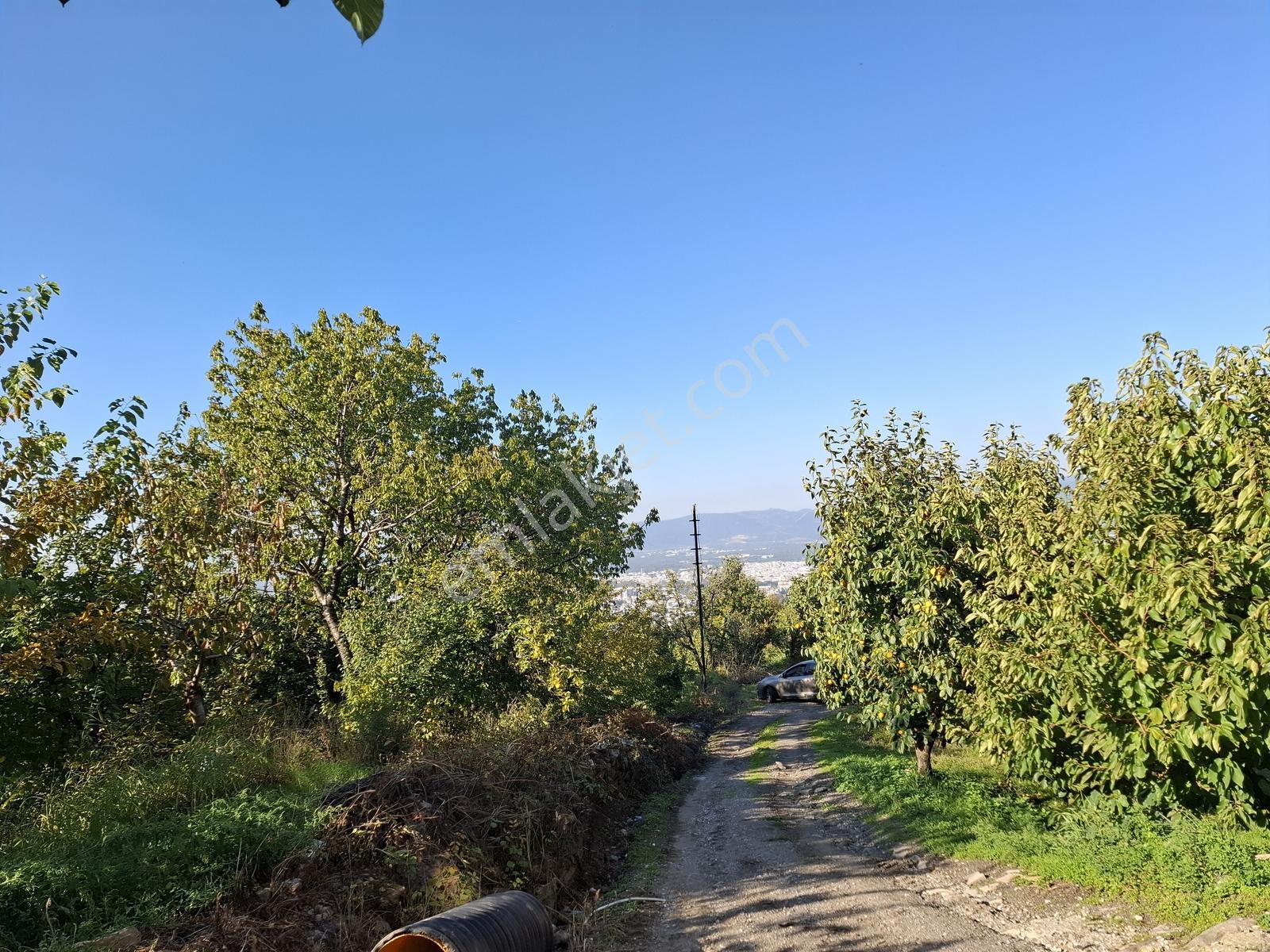 Remax Leon Bursa Hamamlıkızık'da Satılık 2,418 M² Arsa — fotoğraf 17