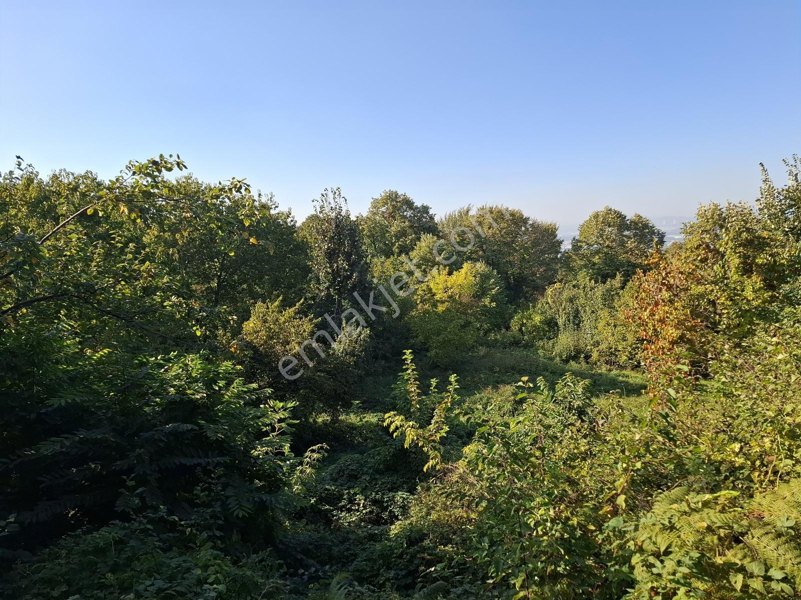 Remax Leon Bursa Hamamlıkızık'da Satılık 2,418 M² Arsa — fotoğraf 18