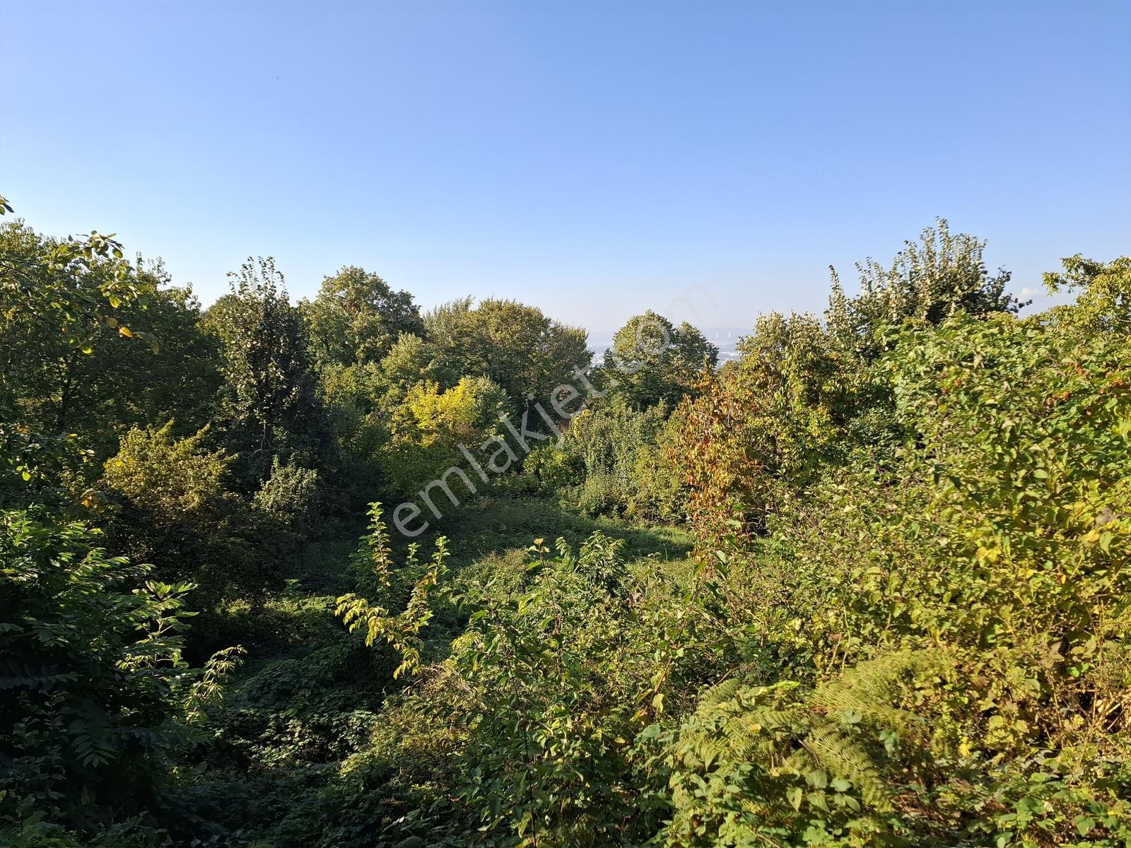 Remax Leon Bursa Hamamlıkızık'da Satılık 2,418 M² Arsa — fotoğraf 23