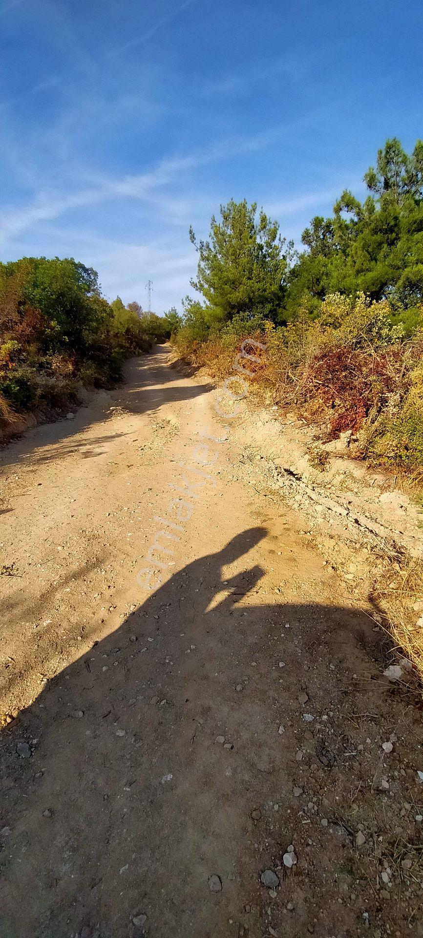 Kepsut Mestanlarda Köye Yakın Üç Parça Tarla Yan Yana Satılık