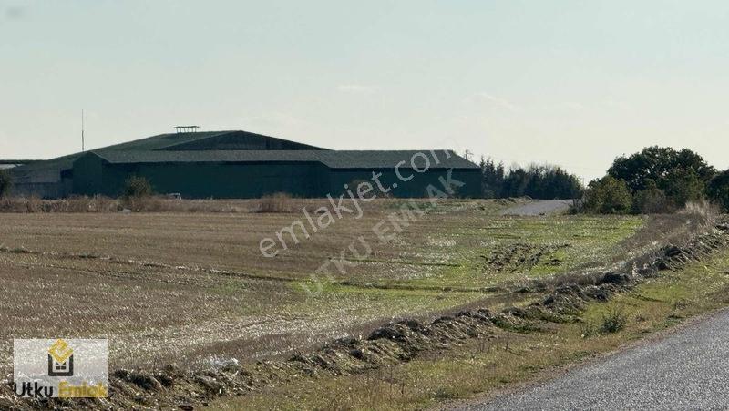 Babaeski Karahalil Asfaltcephe 21122 M2 Çiftlik İçin İdeal Tarla — fotoğraf 3