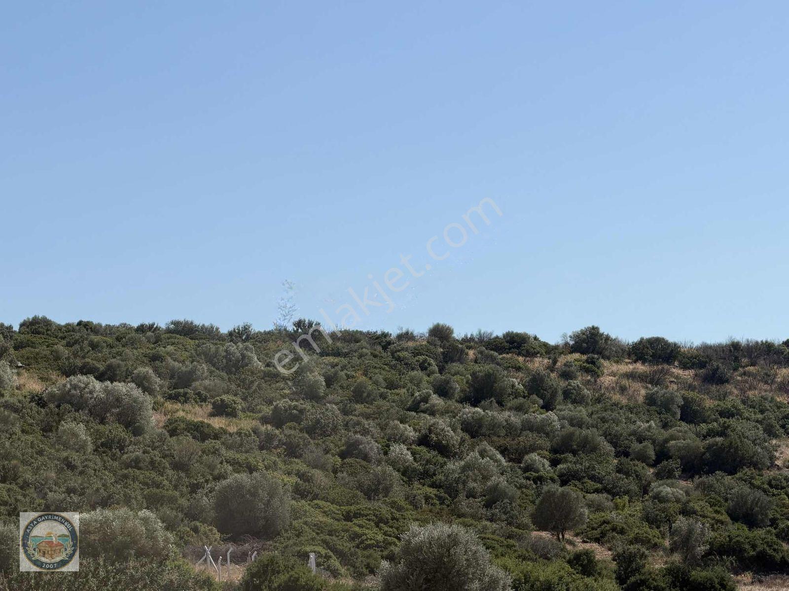 Bodrum Yoluna Yakın İmarlı Arsa — fotoğraf 11