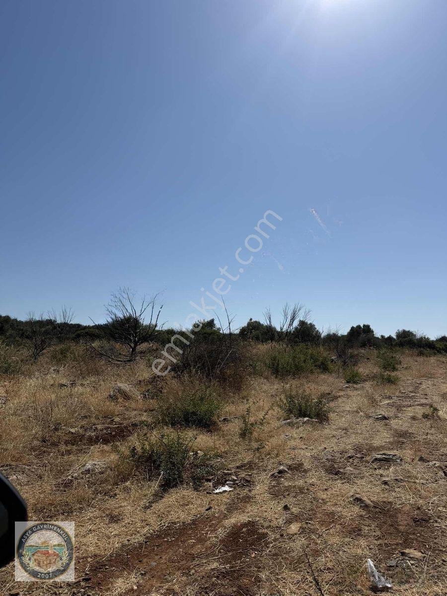 Bodrum Yoluna Yakın İmarlı Arsa — fotoğraf 15