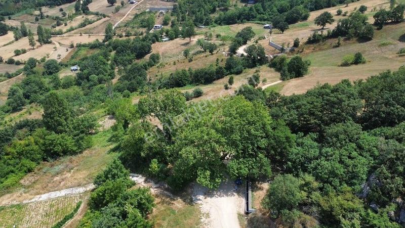 Özdemir Den Tek Tapu Fırsat M2 Fırsat Fiyat