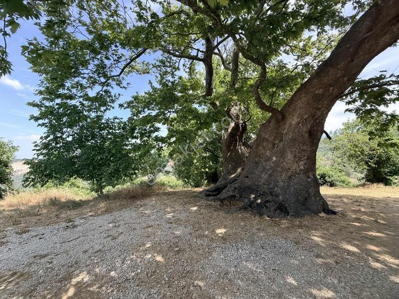 Özdemir Den Tek Tapu Fırsat M2 Fırsat Fiyat — fotoğraf 2