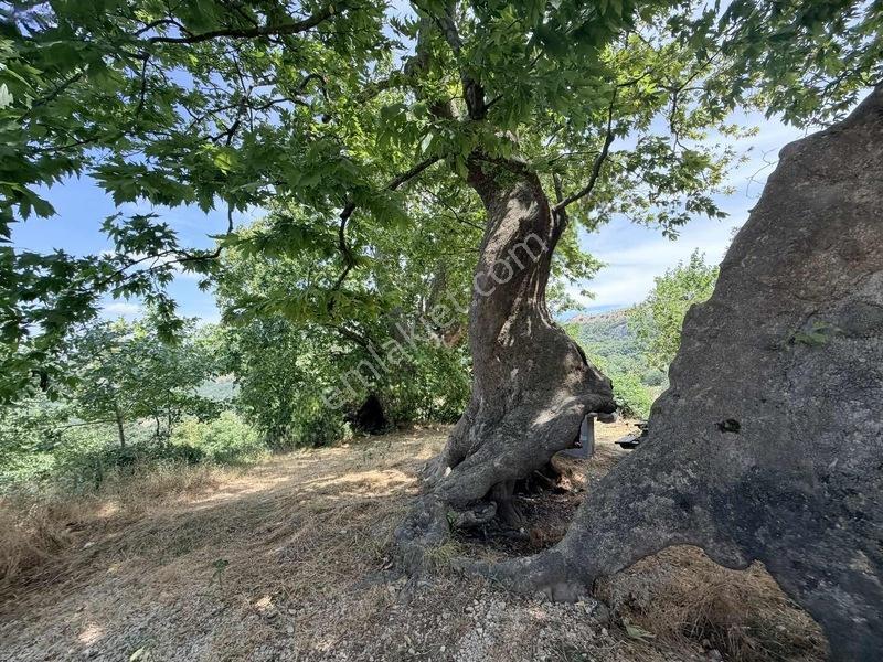 Özdemir Den Tek Tapu Fırsat M2 Fırsat Fiyat — fotoğraf 7