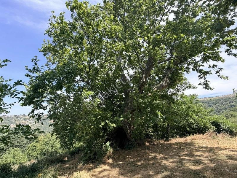 Özdemir Den Tek Tapu Fırsat M2 Fırsat Fiyat — fotoğraf 8