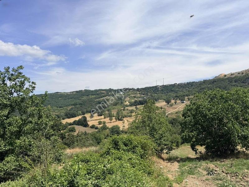 Özdemir Den Tek Tapu Fırsat M2 Fırsat Fiyat — fotoğraf 15