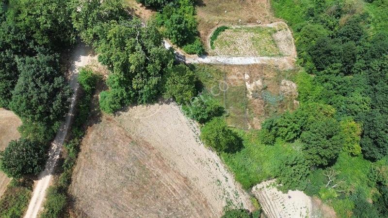 Özdemir Den Tek Tapu Fırsat M2 Fırsat Fiyat — fotoğraf 16
