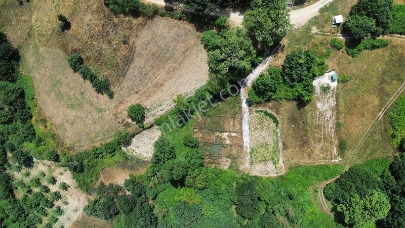 Özdemir Den Tek Tapu Fırsat M2 Fırsat Fiyat — fotoğraf 17