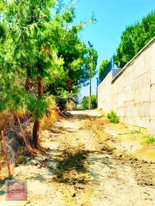 Kuşadası Soğucakta Satılık Villa İmarlı Fırsat Arsa! — fotoğraf 6