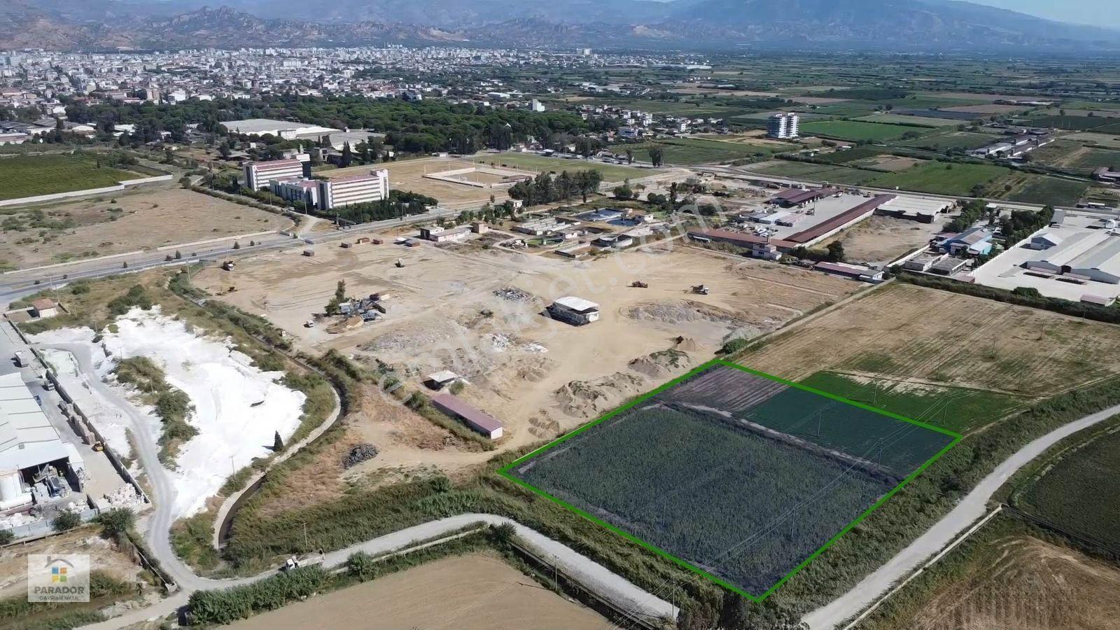 Aydın Nazilli Sümer Mahallesinde Satılık 13274 M² Tarla — fotoğraf 3