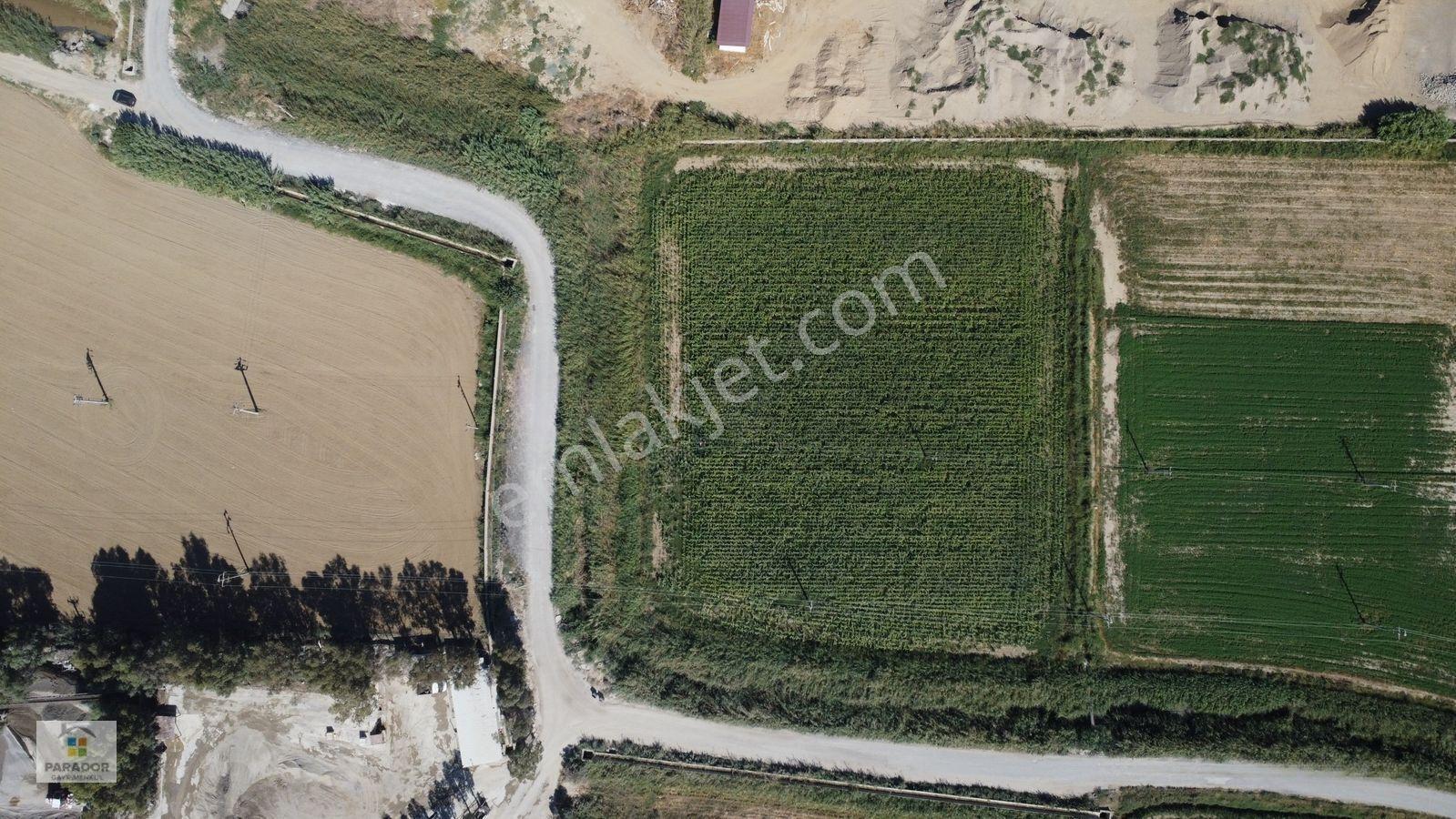 Aydın Nazilli Sümer Mahallesinde Satılık 13274 M² Tarla — fotoğraf 8