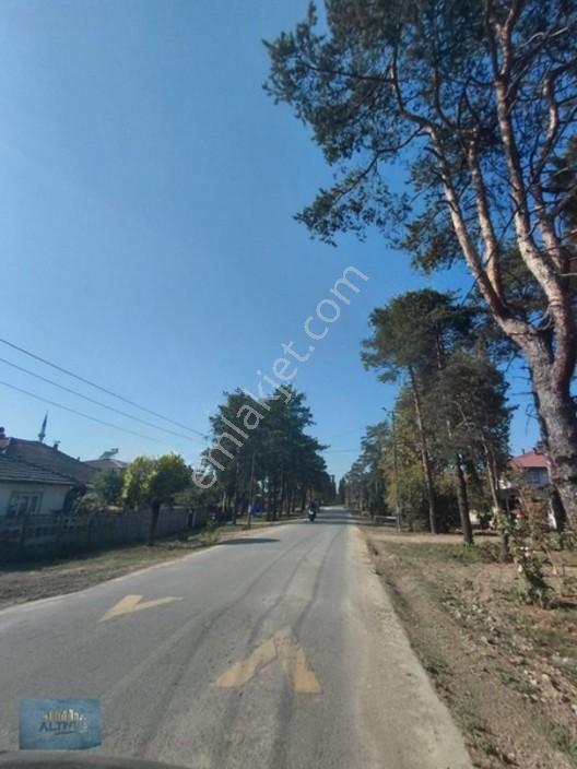 8370 Mt2 Müstakil Tapu İçinde 3 Yaşında 400 Kavak Var — fotoğraf 2