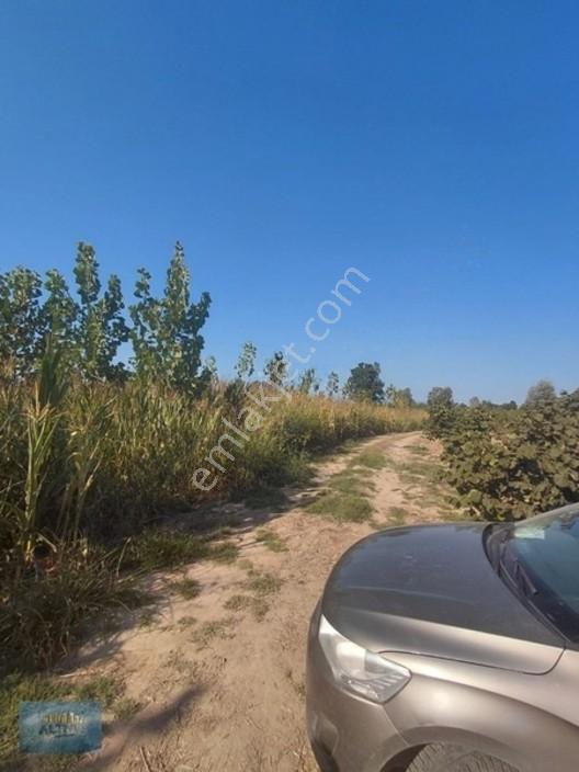 8370 Mt2 Müstakil Tapu İçinde 3 Yaşında 400 Kavak Var — fotoğraf 8
