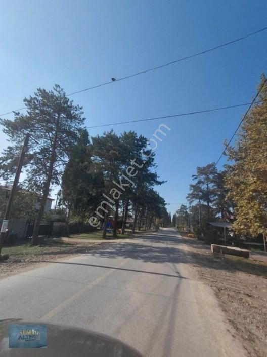8370 Mt2 Müstakil Tapu İçinde 3 Yaşında 400 Kavak Var — fotoğraf 10