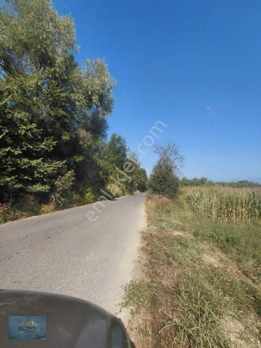 8370 Mt2 Müstakil Tapu İçinde 3 Yaşında 400 Kavak Var — fotoğraf 11