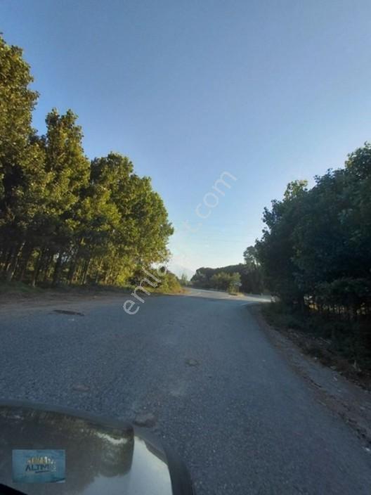 8370 Mt2 Müstakil Tapu İçinde 3 Yaşında 400 Kavak Var — fotoğraf 13