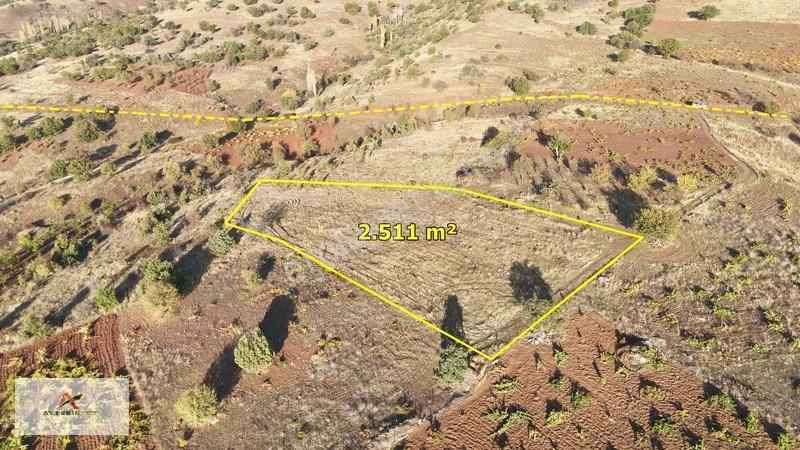 Çevresi Meyve Bahçeleriyle Dolu! Güneysınır'da 2.511 M² Müstakil — fotoğraf 2