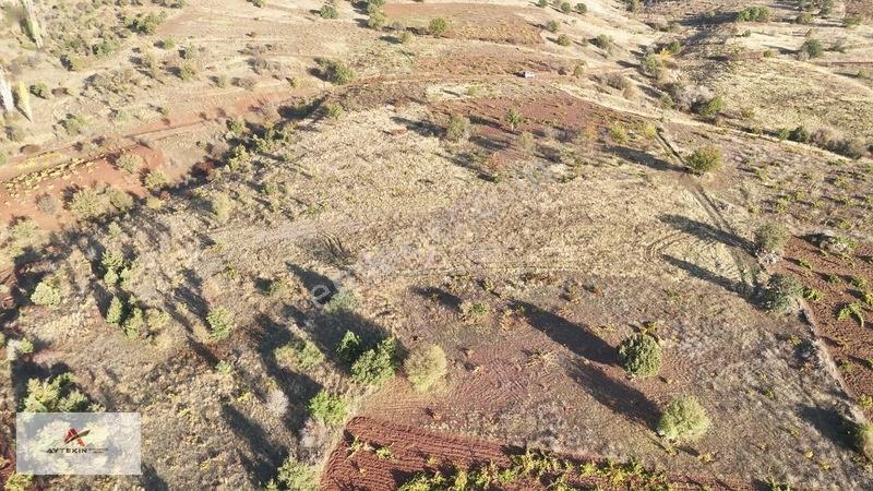 Çevresi Meyve Bahçeleriyle Dolu! Güneysınır'da 2.511 M² Müstakil — fotoğraf 6