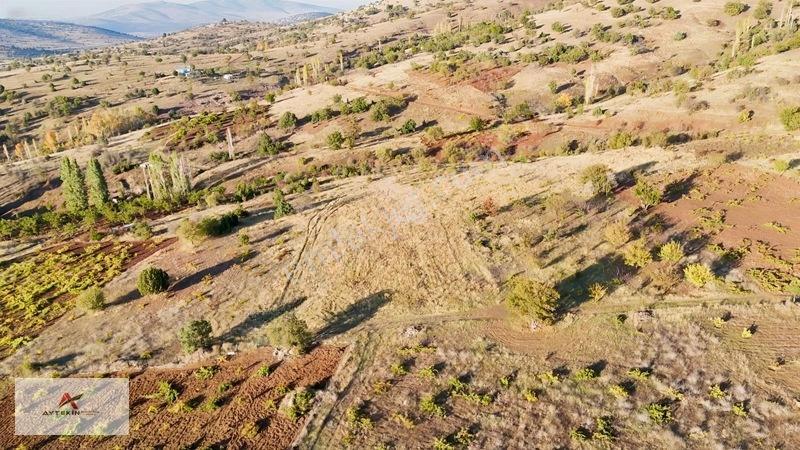Çevresi Meyve Bahçeleriyle Dolu! Güneysınır'da 2.511 M² Müstakil — fotoğraf 7