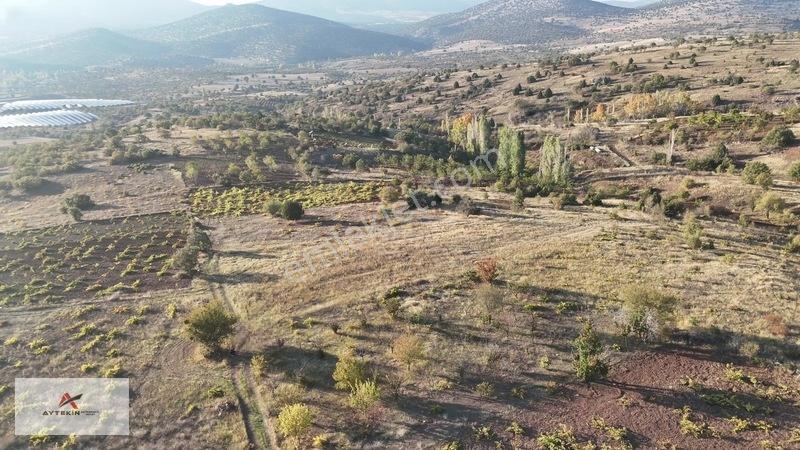 Çevresi Meyve Bahçeleriyle Dolu! Güneysınır'da 2.511 M² Müstakil — fotoğraf 8