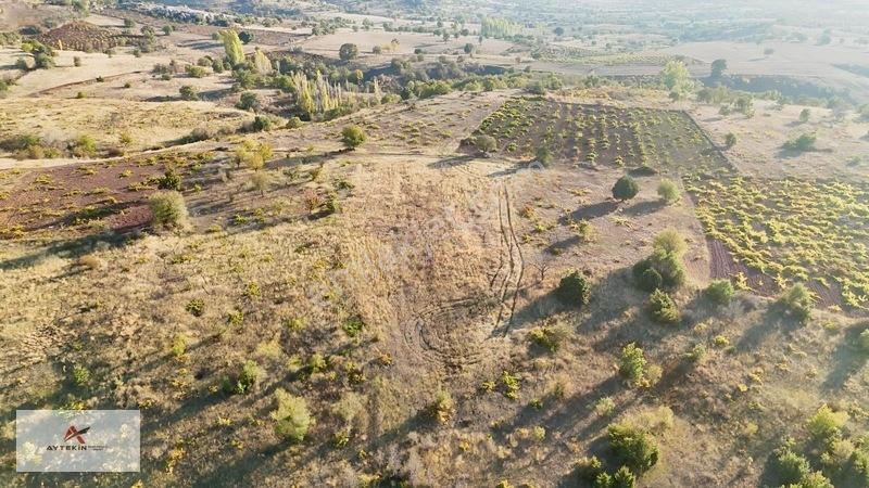 Çevresi Meyve Bahçeleriyle Dolu! Güneysınır'da 2.511 M² Müstakil — fotoğraf 9